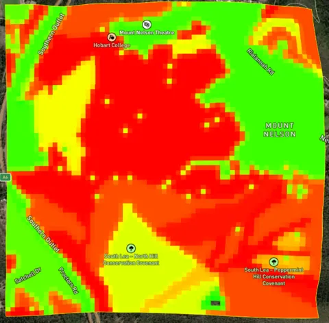 Fuel load across the Mount Nelson project area before the prescribed burn, with heavy contiguous loads.