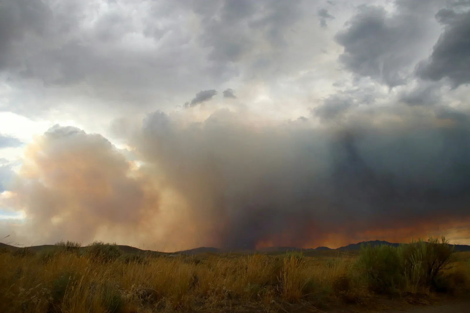 A towering smoke column rising from a wildfire behind dry grassland under a storm-lit sky.