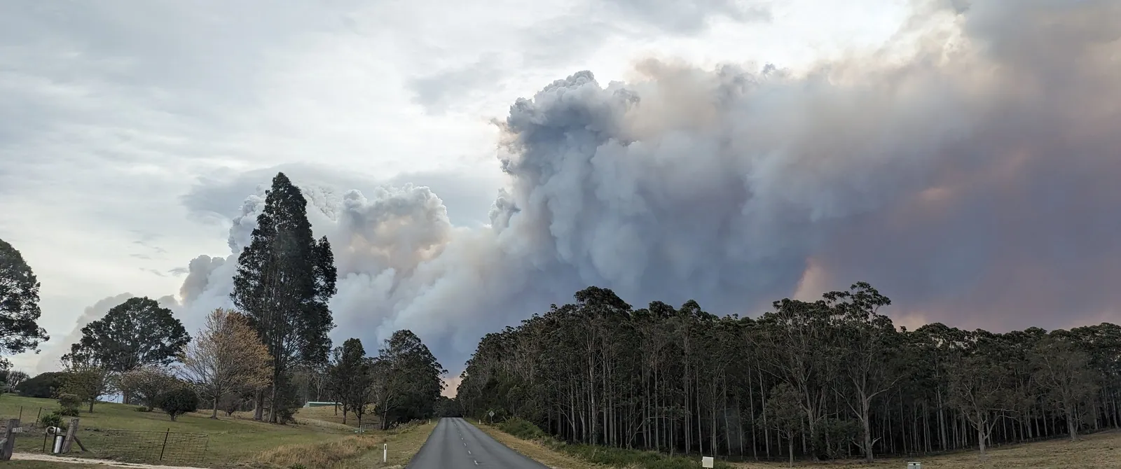 A towering convective smoke column from the Coolagolite fire rising behind a treeline and country road, 3 October 2023.