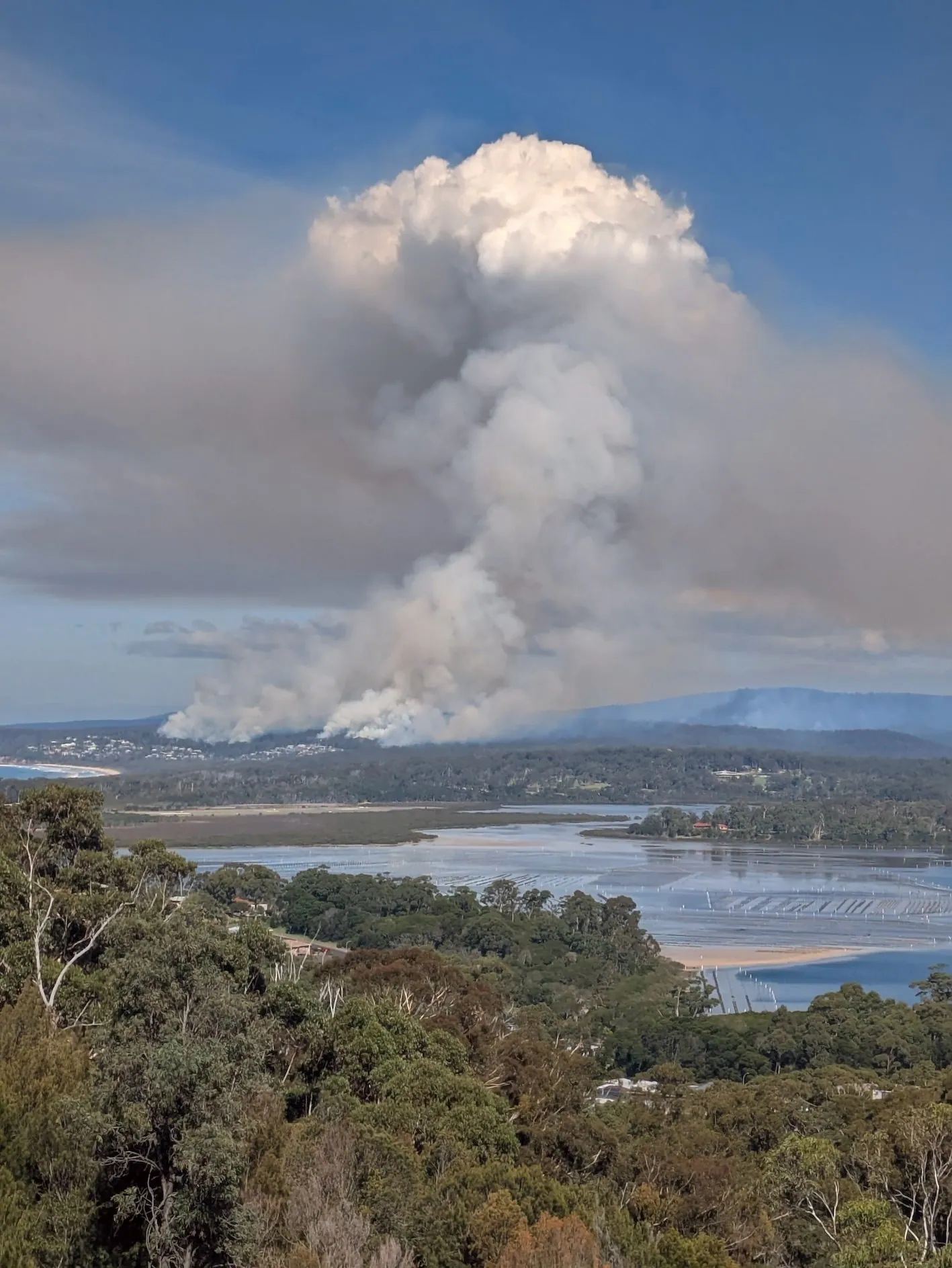 A smoke plume rising from a prescribed burn above the inlet during the autumn 2026 hazard reduction programme.